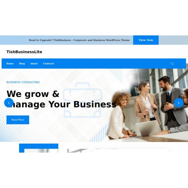  TishBusinessLite - Корпоративная и бизнес-тема для WordPress